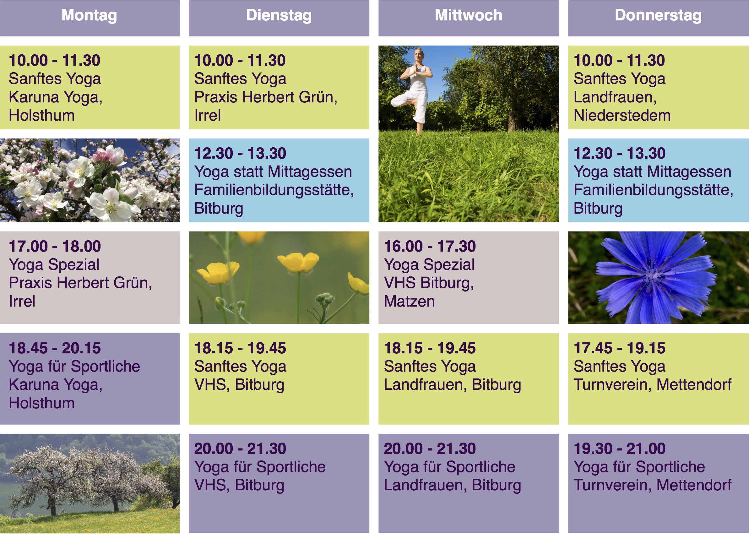 sommerstundenplan wiese